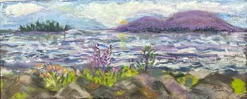 Hugo and Bonnie's View